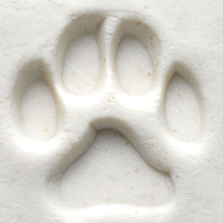SCL-065 - Dog Paw Print Large Round Stamp by MKM Pottery Tools